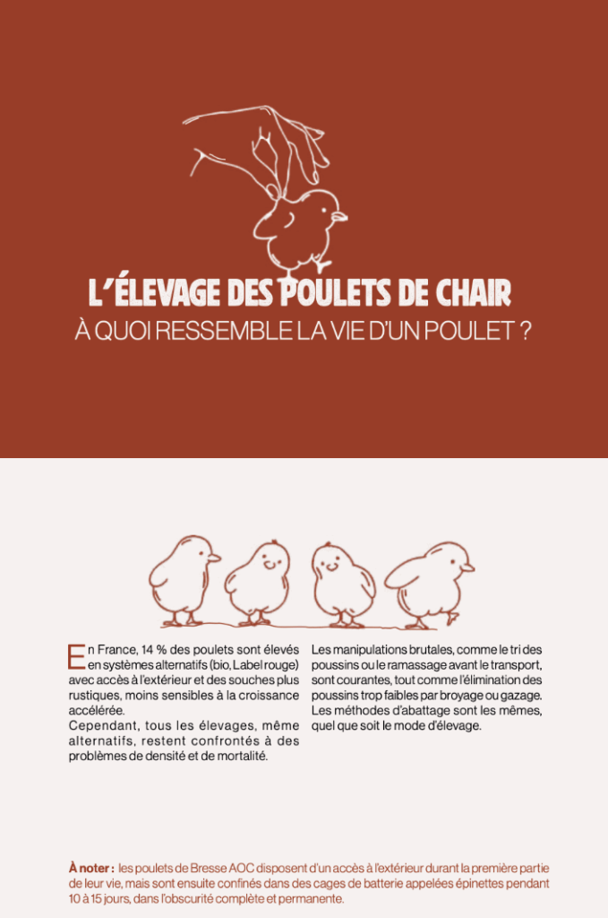 Capture d’écran 2025-08-21 à 00.08.09