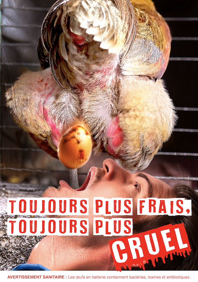 Capture d’écran 2025-08-21 à 00.10.09